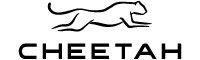 B3- CHEETAH Logo