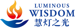 D6 – Luminous Wisdom logo